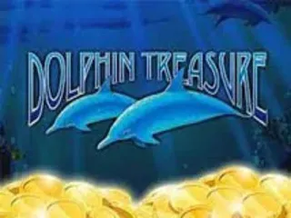 dolphin treasure